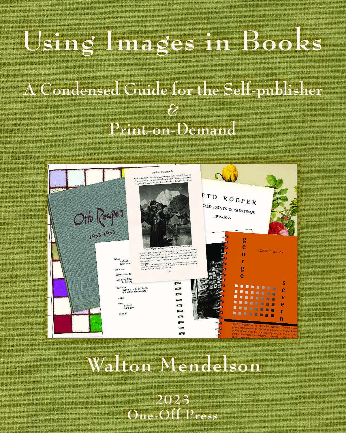 Using Images in Books cover